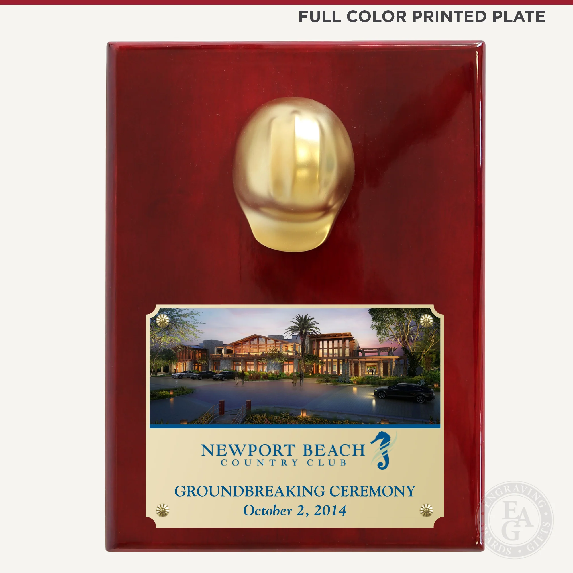 9" x 12" Miniature Hard Hat Plaque - Metallic - Image 5