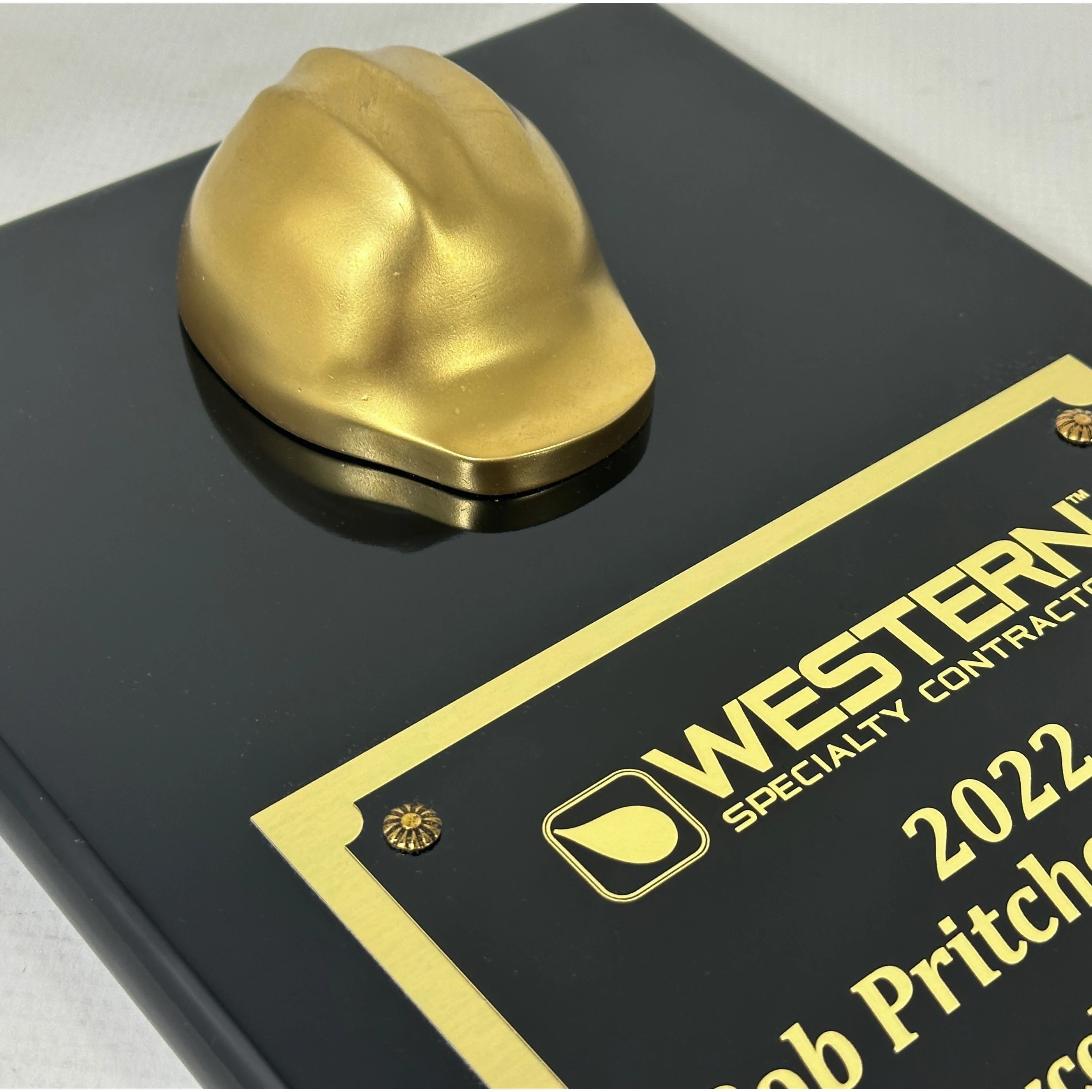 9" x 12" Miniature Hard Hat Plaque - Metallic - Image 7