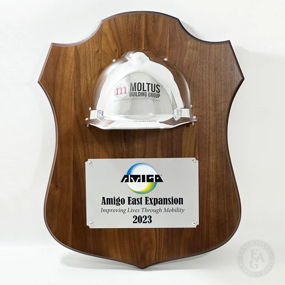 Full Size Hard Hat Plaque - Gold & Chrome - Image 5