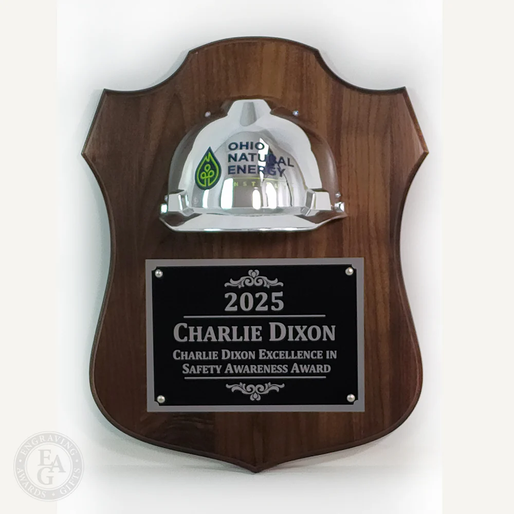 Full Size Hard Hat Plaque - Gold & Chrome - Image 8