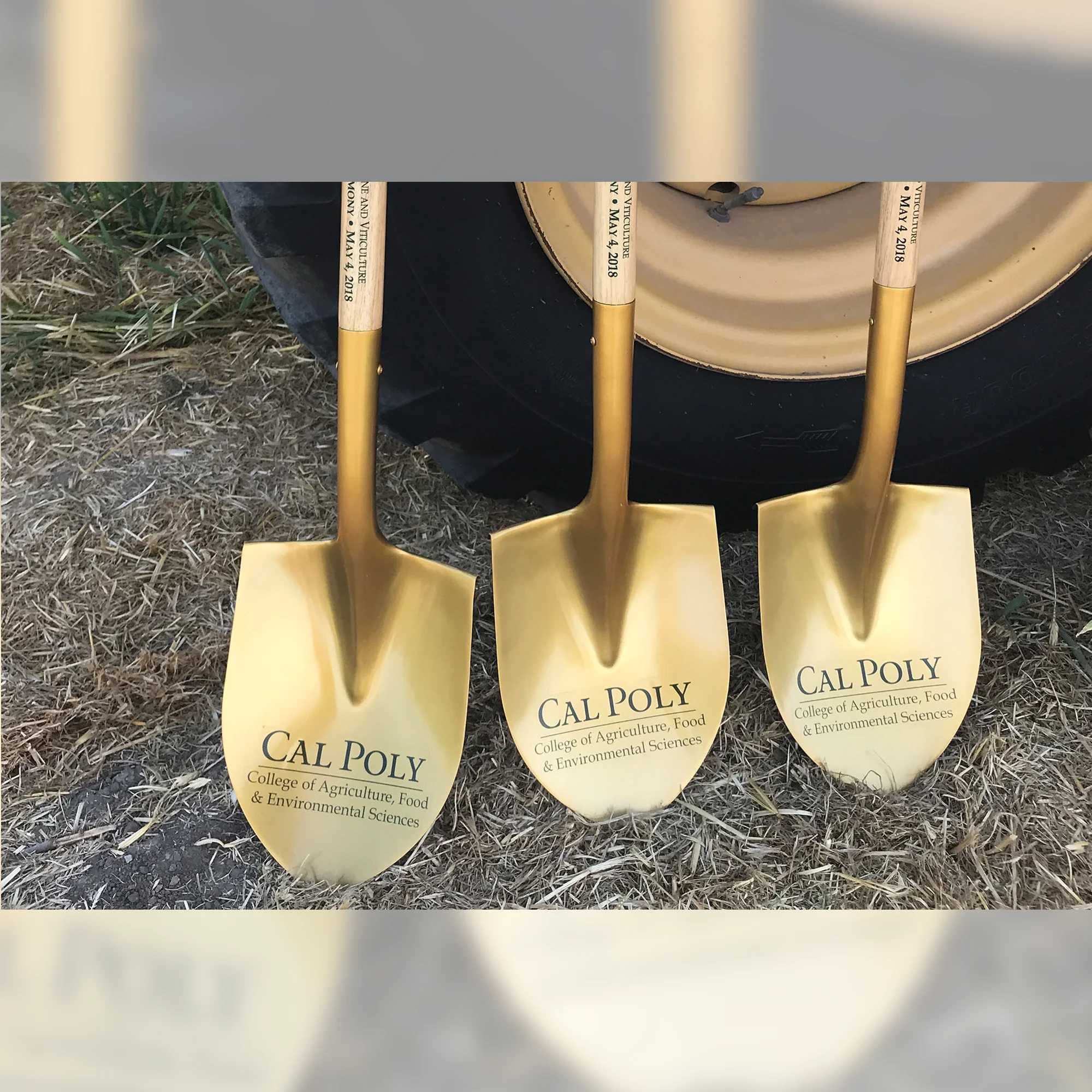 Gold Finish Ceremonial Groundbreaking Shovel - D-Handle - Image 39