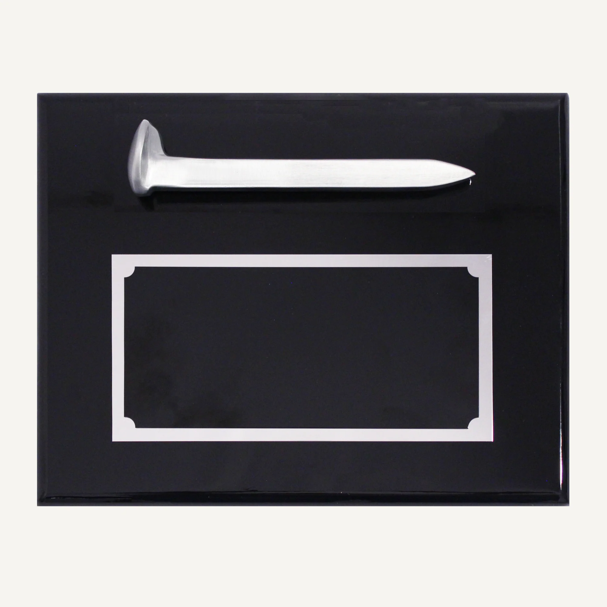 Satin Silver Ceremonial Railroad Spikes Plaques - Image 10