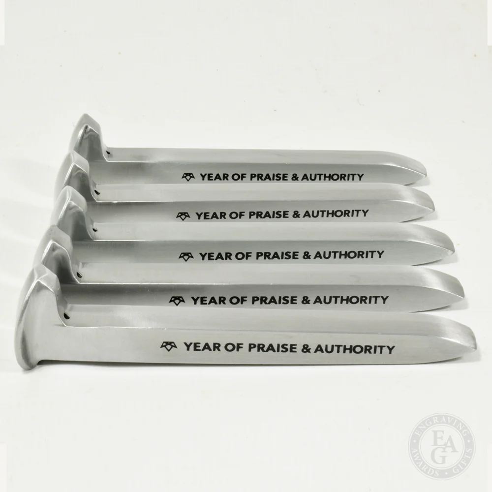 Satin Silver Finish Ceremonial Railroad Spikes with Gift Boxes - Image 6
