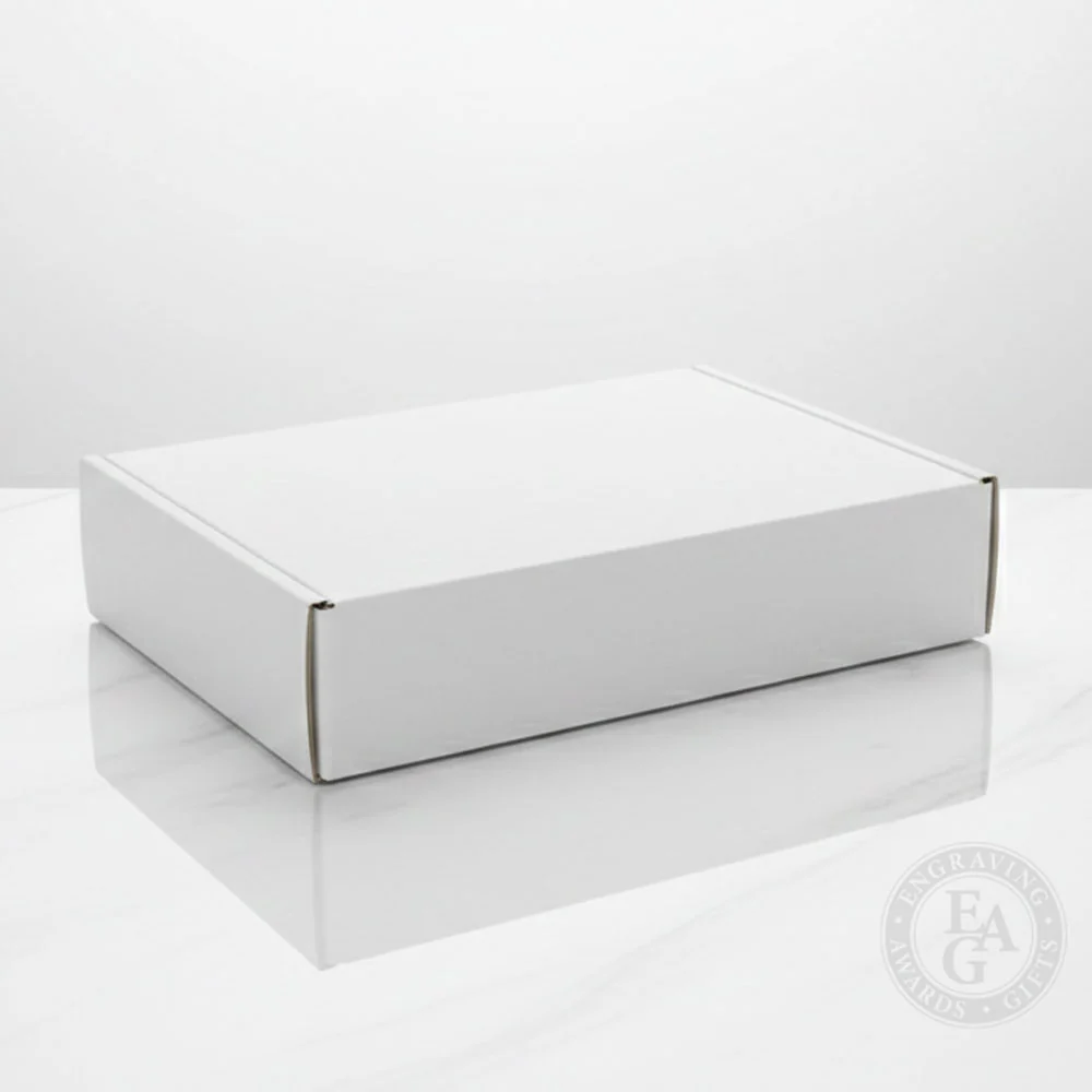 Silver Plated Ceremonial Railroad Spikes Display Cases - Image 3